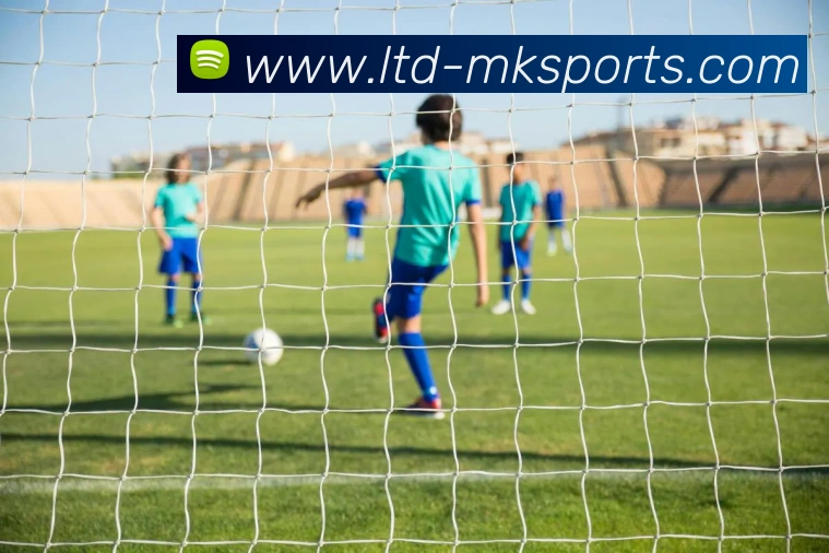 球赛投注服务体系