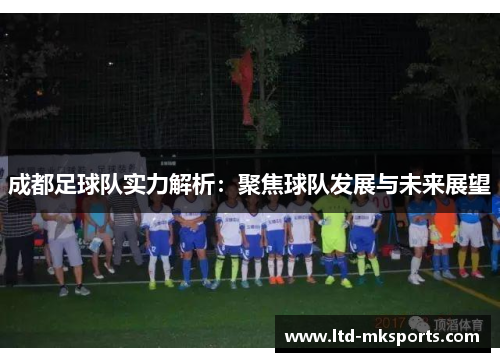 成都足球队实力解析：聚焦球队发展与未来展望